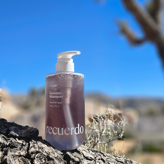 Recuerdo 8PM night repair shampoo Korean scalp and hair care by Lovelia Beautique