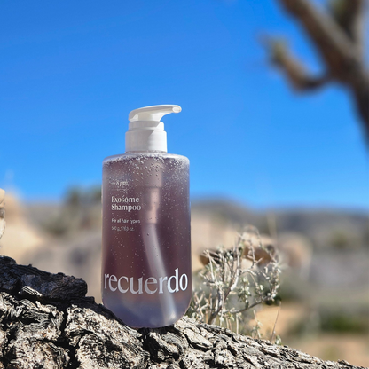 Recuerdo 8PM night repair shampoo Korean scalp and hair care by Lovelia Beautique